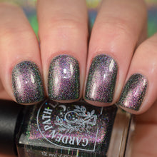 Load image into Gallery viewer, Seek the Ephemeral