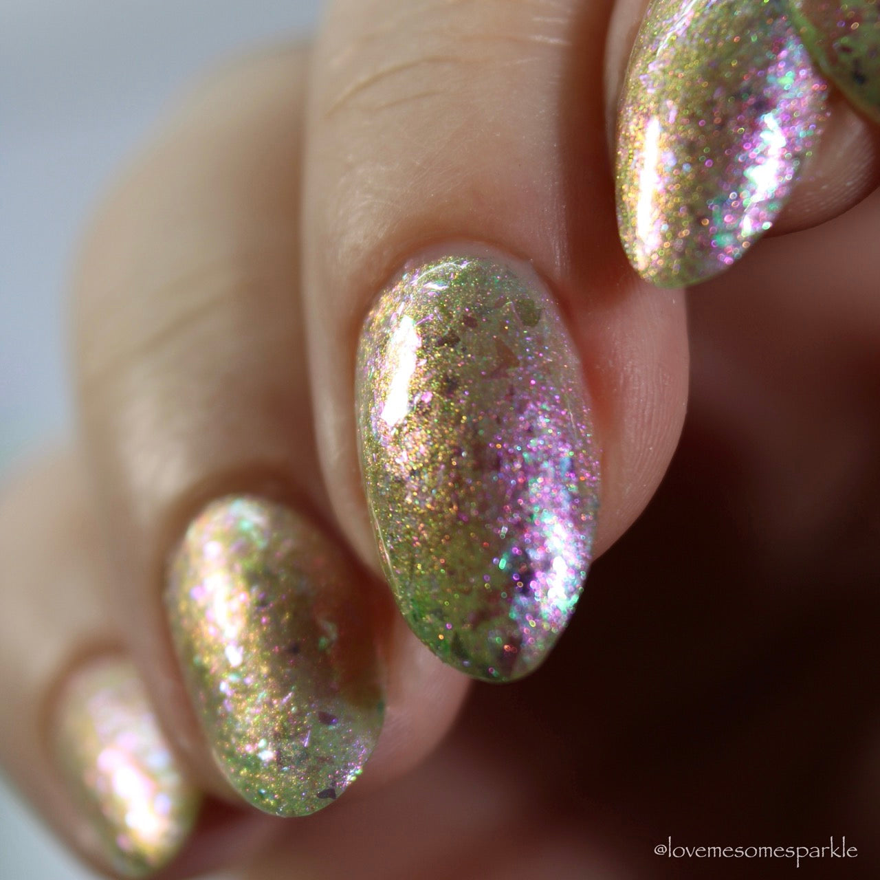 邦楽 The Magical Steppers. COLOR MY HOLIDAY Garden Path Lacquers Indie Nail Polish - Teaching Myself How