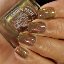 Load image into Gallery viewer, A Fortune in Fudge