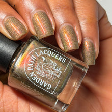 Load image into Gallery viewer, A Fortune in Fudge