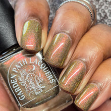 Load image into Gallery viewer, A Fortune in Fudge
